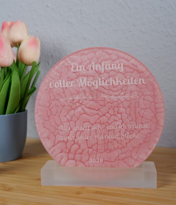 Elveya - New Beginnings